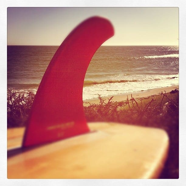 Longboard Fins