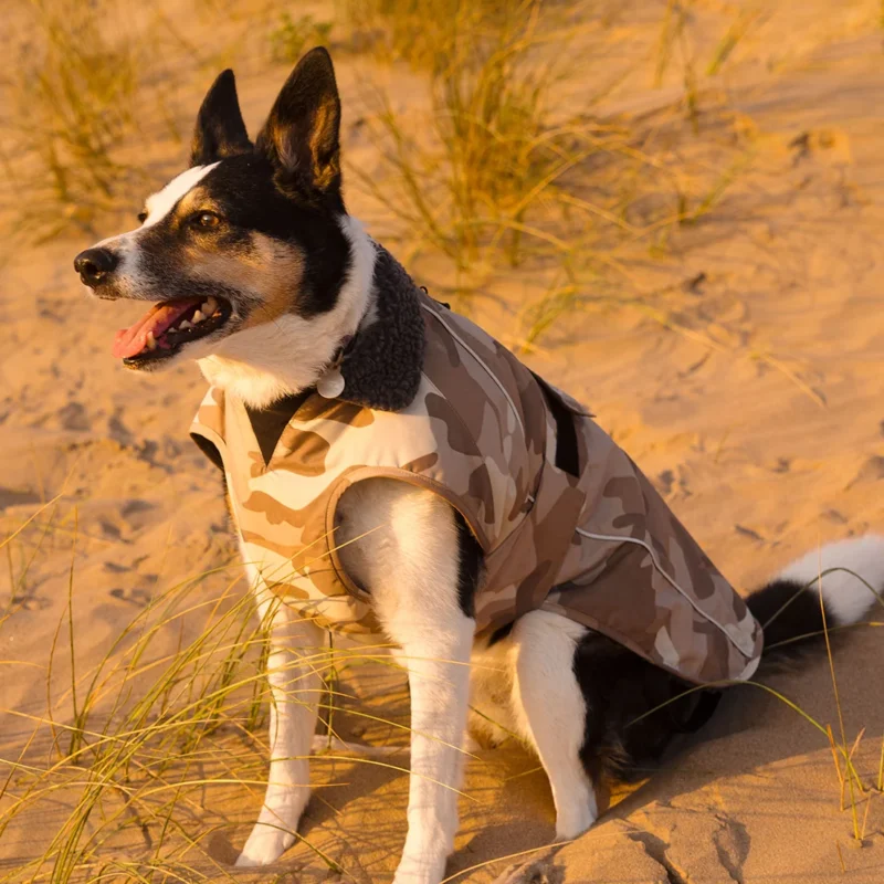 Dog Dryrobe Sand Camo Dog Coat