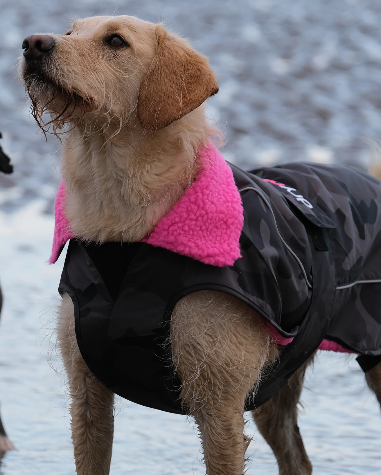 Dog Dryrobe Black Pink Camo Dog Coat - Image 5