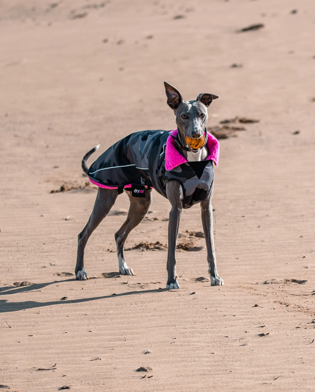 Dog Dryrobe Black Pink Camo Dog Coat - Image 6